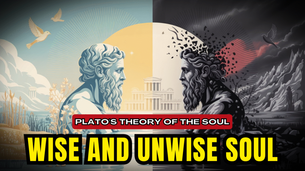 Plato's wise and unwise soul theory